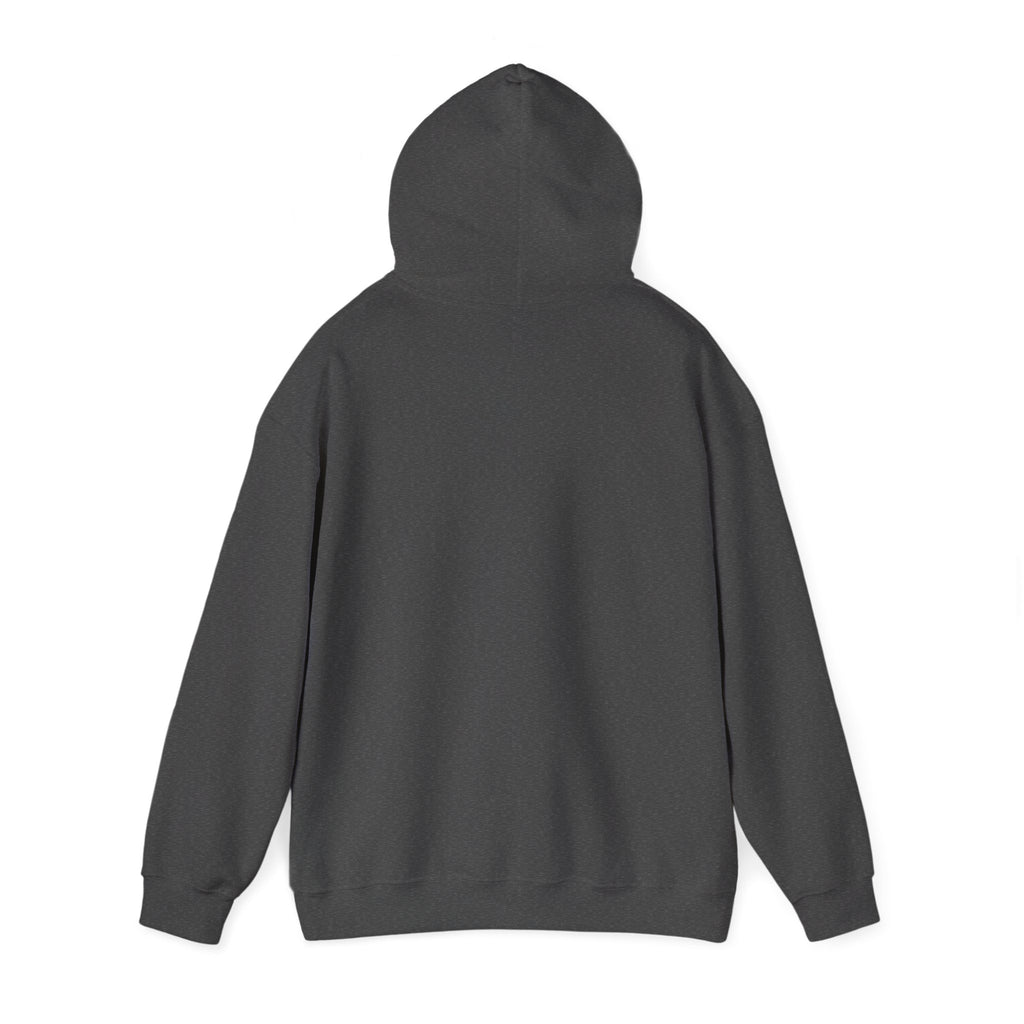Pull à capuche Personnalisable