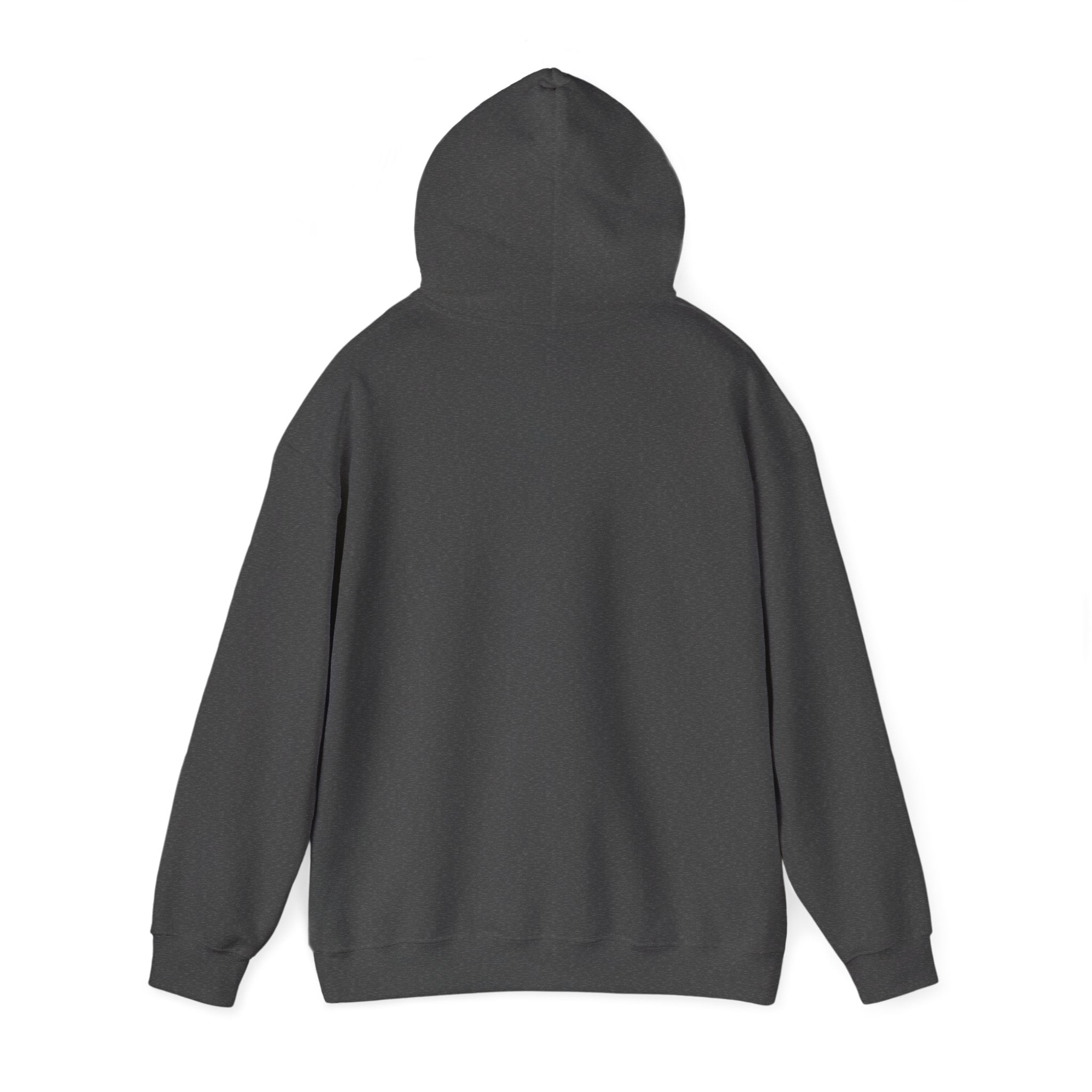 Pull à capuche Personnalisable