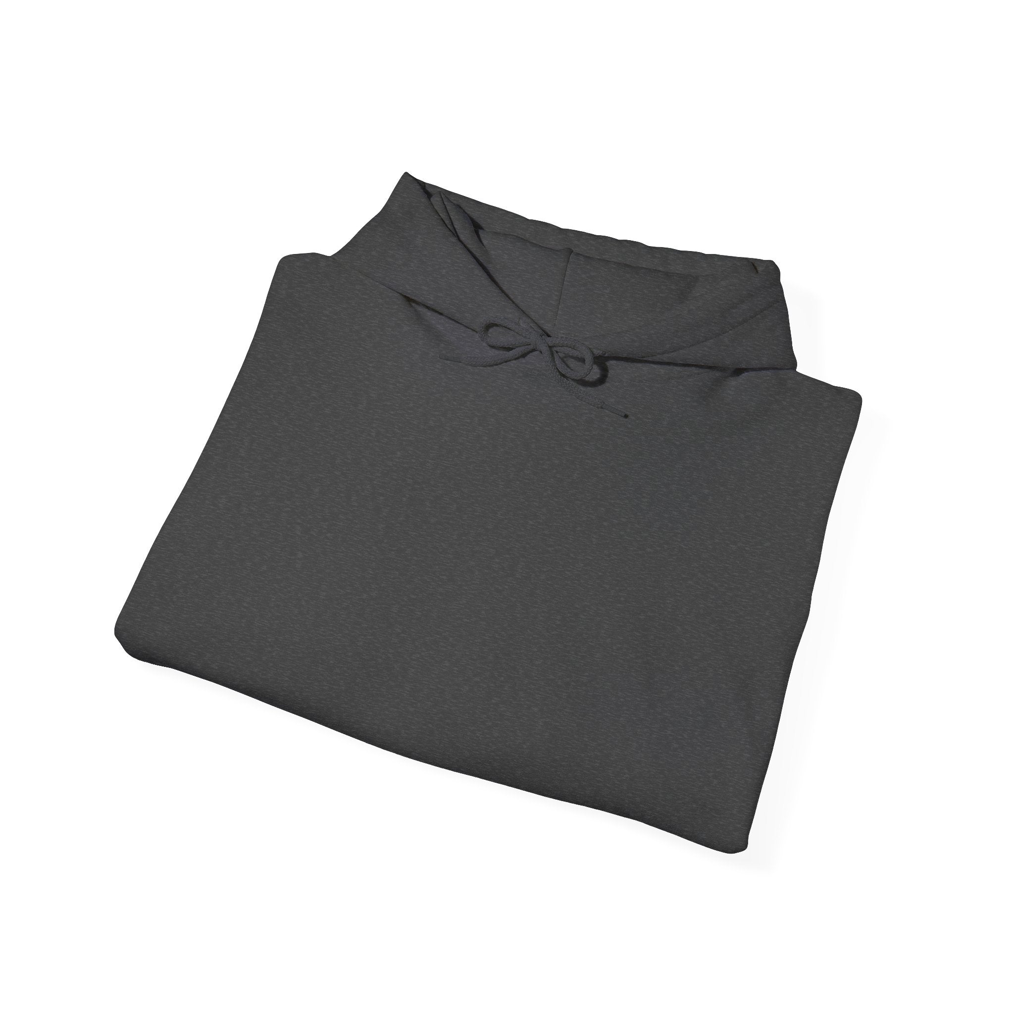 Pull à capuche Personnalisable
